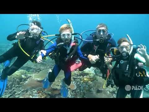 🌎 Scuba Diving Kids Programs