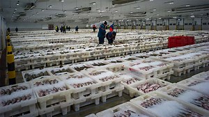 PETERHEAD PORT CEO RESIGNS