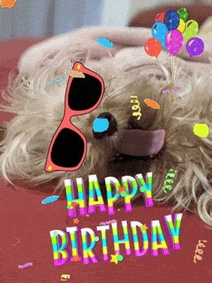 Happy Happy Birthday, Deb | Barbara Smith-Lombardi | Facebook