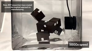 Robotic cubes with reprogrammable materials selectively self-assemble Researchers created a method for magnetically programming materials to make cubes that are very picky about who they connect with, enabling more scalable self-assembly. Video credits: CSAIL - MIT | Wevolver.com