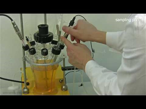 Autoclavable bioreactor and fermenter LAMBDA MINIFOR: Installation guide