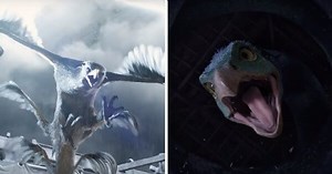 The Trailer Of ‘Fantastic Beasts And Where To Find Them’ Promises Two Hours Of Pure Magical Chaos - ScoopWhoop