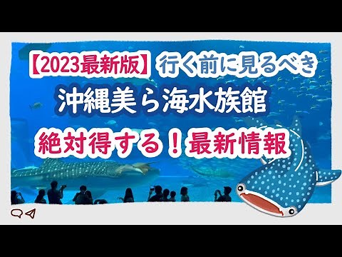 【沖縄観光1位 美ら海水族館見どころ（2023最新まとめ）】沖縄観光人気1位｜最新お得情報｜見どころ｜半券でプレゼントをゲット｜美ら海水族館まとめ