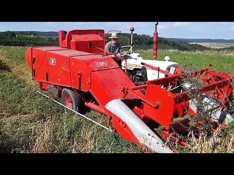 Moisson avec David Brown 780 Selectamatic et moissonneuse batteuse JF MS 5