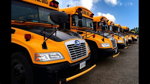 Can I go around a stopped school bus without getting a ticket? What WA law says