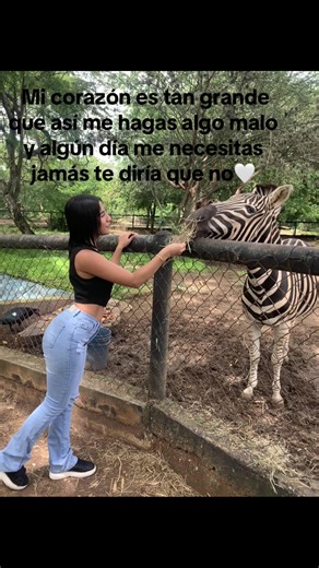 Videos de Fiorella Castillo (@castillofiorella21) con “sonido original - Angie 🤍”