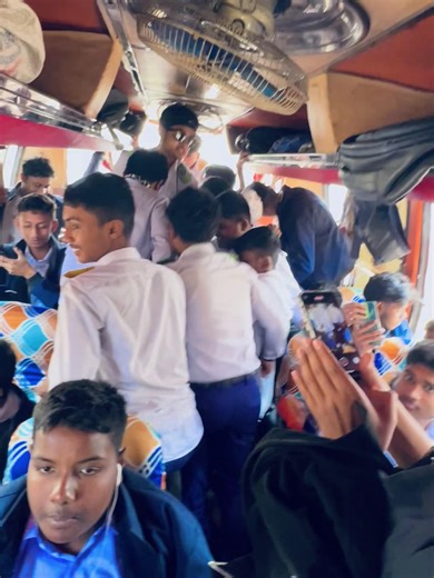 Funny Frog Videos That Will Make You Laugh