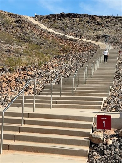 Aziani Life on Instagram: "Always finding new places to get some exercise in…. 333 stairs 💪🏼 @buzzaziani #outdoors #keepmoving #exercise #healthylife #motivaton #fitness"