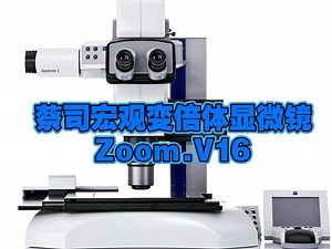 蔡司Zoom.V16宏观变倍体显微镜