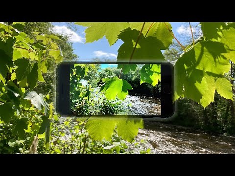 iPhone SE (2020) - Ultimate Video Test!