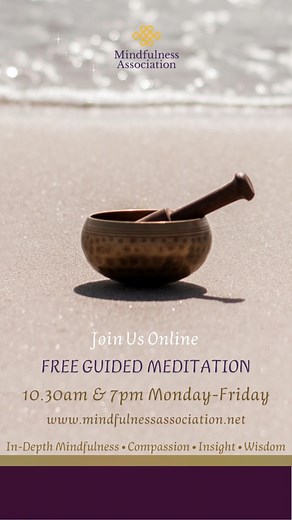 Free Guided Daily Online Meditation Monday-Friday | Mindfulness Association