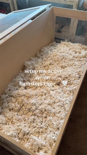 Syrian hamster cage setup: multi-chamber final cage setup ideas
