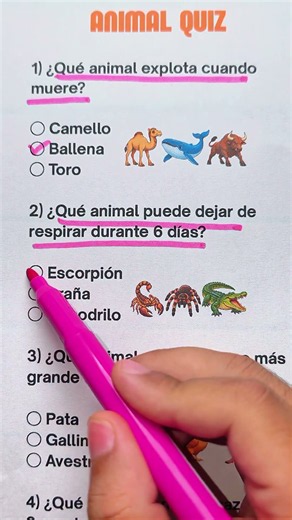 Animal quiz #quiz #animal #animals #preguntas #trivia
