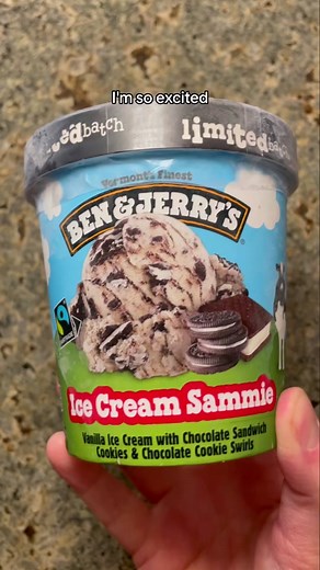 what’s your all time fav ben & jerry’s flavor? #benandjerrysicecream #benandjerrys #icecream #icecreamsandwich #cookiesandcream #oreos #oreoicecream #tryingnewfoods #limitedtime #tastetest #summerfood #groceryfinds #foodfinds #morganchomps