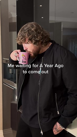 James Arthur TikTok Version: A Year Ago Song