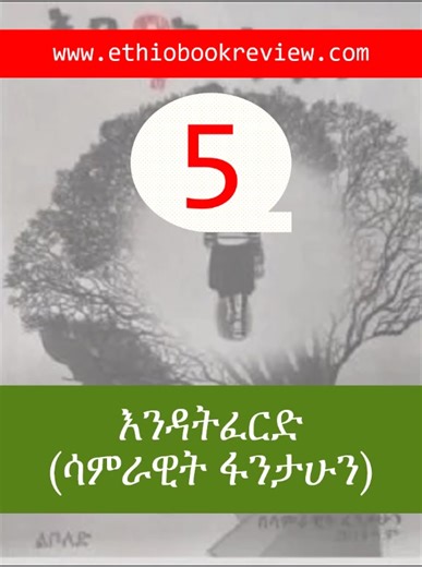 Good Amharic Fiction books #ethiopian_tik_tok #amharic #books
