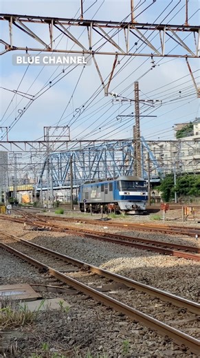 (貨物列車) 2025/06/04 8097レ EF210-150 単機 (根岸〜八王子) #Shorts
