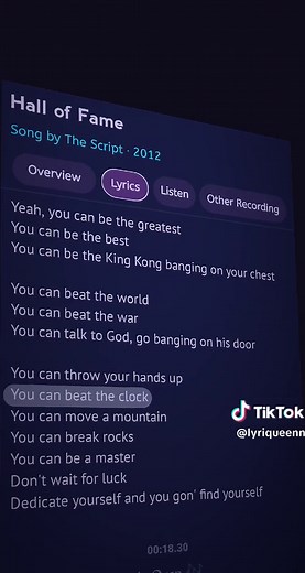 Hall of Fame Lyrics by The Script: An Inspirational Anthem