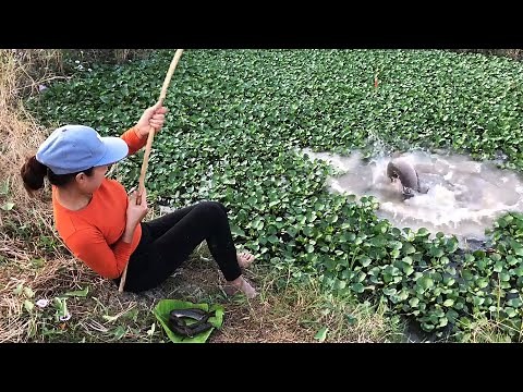 FISHING with SNAKE