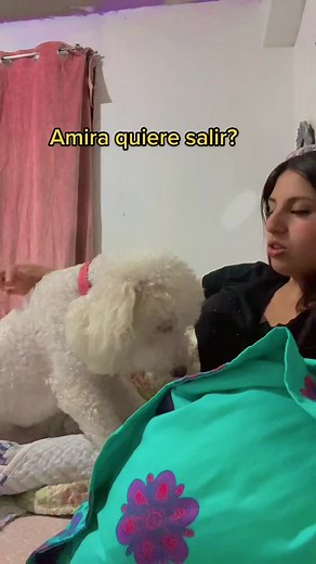 #humor #comedia #dog