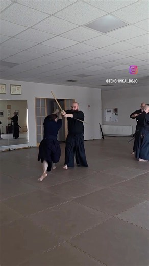 Mugai Ryu - Work on Meishi Ha Hatsu Kata Ukekaeshi