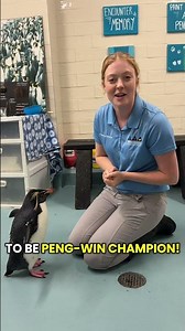 Vote Marley for Penguin Champion!