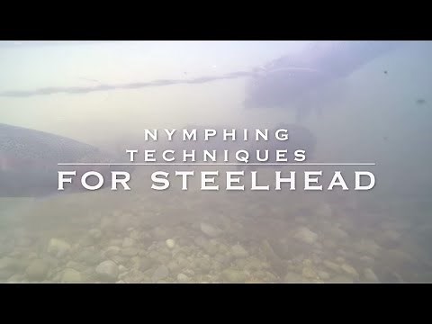 Nymphing for Steelhead - Tom Rosenbauer