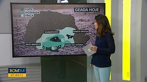 Sábado começa com geada