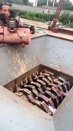 (1)Shredder on TikTok