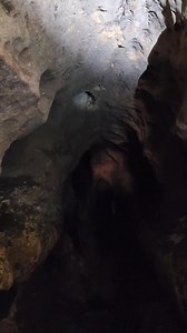 5.7K views · 40 reactions | Sleepy bat inside a cave on the Chipola River #florida #nature #wild #kayaking | Florida Panhandle Springs and Fossils | Facebook