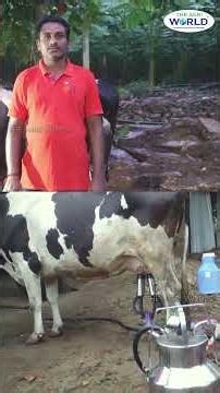 MILKY MACHINE | மில்கி மெஷின் | THE AGRI WORLD | #theagriworld