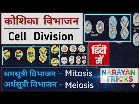 Cell Division | Biology class_4 | Railway + SSC exam | ‪@narayantricks‬