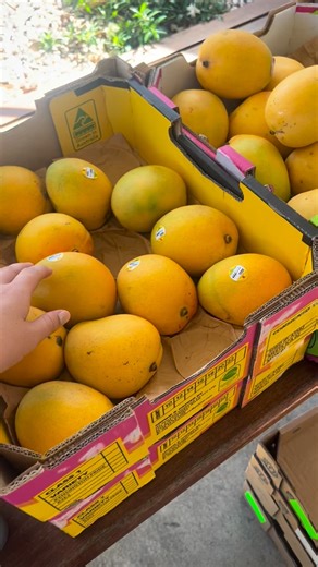 Fresh produce market on Macleay Island! - What a vibe! ✨ Hand pick your treats & produce for the week or organise your subscription box online!! #macleayisland #redlandscoast #redlandscoastrealty #smbi | Ebony Maher - Redlands Coast Realty