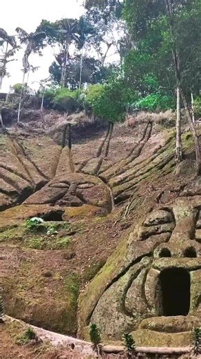 Archaeologists have discovered a series of cities lost in the Amazon rainforest that housed at least 10,000 people about 2,000 years ago. This discovery, located near the Andes, in the Ecuadorian Amazon, was made possible thanks to advanced LIDAR technology, which revealed a complex network of settlements connected by extensive roads.