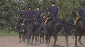 RCMP Musical Ride comes to Edmonton