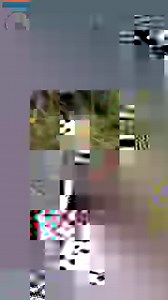 249K views · 1.3K reactions | This drone footage gives us a whole new perspective on farming Credit: https://www.youtube.com/watch?v=fb3jIIbSc8o | storyful | Facebook