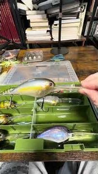 OSP Blitz Magnum EX DR Crankbait Organization #bassfishing #crankbaitfishing #shorts #youtubeshorts