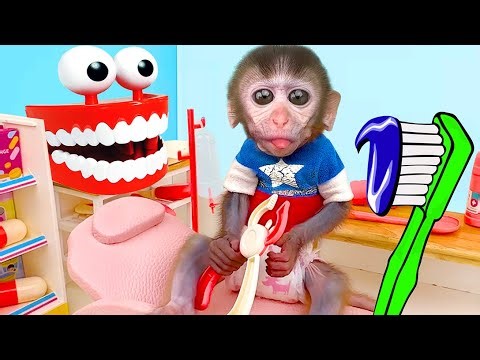 Baby Monkey Chu Chu goes to the dentist and eats watermelon and ducklings