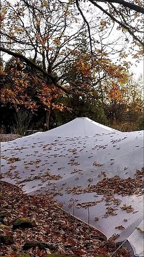 Jetzt den Herbst planen: Laubschutz für Ihren Teich!