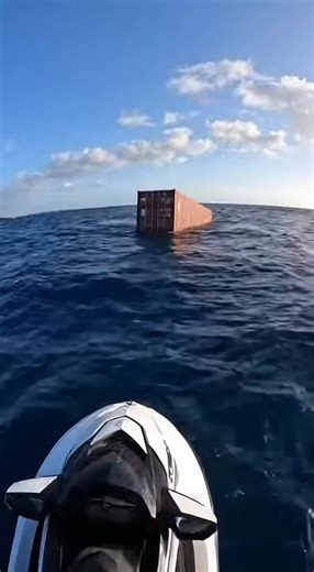 👉 You won’t believe what was hidden inside this … 😳📦🌊 #HiddenFinds#oceanmystery#secretcontainer#unexpectedfind#treasurefound#luckymoment#shockreveal#oceanexplore#viralvideo#trending#fyp#foryou#discovery#fyp #oceandiscovery #mysterycontainer #wouldyourather #storytime