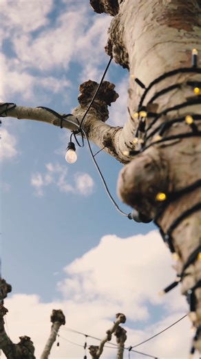 Turanga Creek on Instagram: "The new year is just around the corner. If you’re planning a private function, now is the time to start the conversation. Enquire via the link below to learn more! https://turangacreek.co.nz/contact/ . . . . . . #turangacreek #turangacreekwinery #aucklandvineyard #aucklandfunctions #turangacreekwedding"