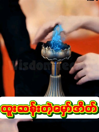 လမ်းဘေးကအမှိုက်အိတ် #cdrama #recap #fyp #myanmartiktok #WisdomRecap