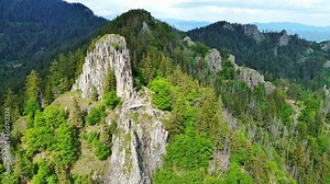 Mountain range of Rhodope Mountains covered with vegetation against the backdrop of valley covered with spruce forests