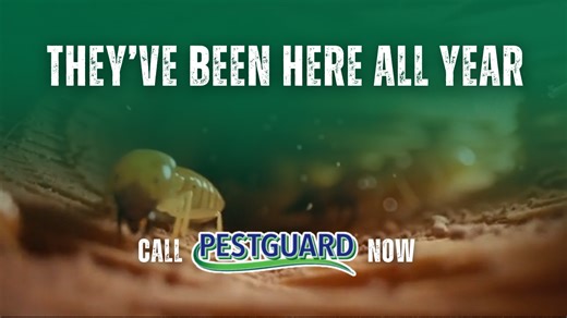 They've Been Here All Year! The clock is ticking... and so are they. ⏳🐜 Termites never take a day off. Just because you can’t see them doesn’t mean they aren't there. If you haven't had an inspection this year, you're already behind! Stop the damage before it starts. Call the pros at PestGuard. 📱 (941) 358-3863 🔗 pestguardtermite.com #PestControl #TermiteDamage #HomeMaintenance #PestGuard #TermiteInspection | Pestguard