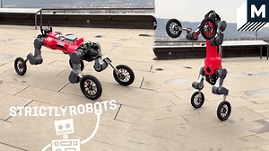 1.3M views · 10K reactions | Researchers created a four-legged robot that can stand on two legs, designed as a solution for the last leg of delivery journeys. | Mashable | Facebook