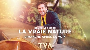 On a tous été soufflé par le talent de Pascale Bussières dans le film Ma vie en cinémascope où elle interprétait Alys Robi. Savez-vous dans quel état elle était au moment où elle a décroché ce rôle? Révélation dimanche soir à La vraie nature | Jean-Philippe Dion