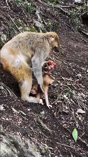 She Slipped. 1 Second Later Mom Was There 😭⛰️💀 | Instant Save