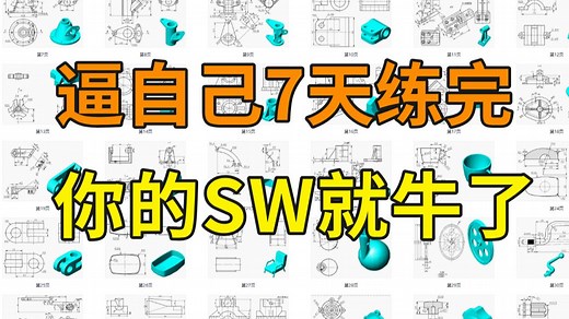 【2025B站强推】100道SW初学者必备的练习题，简单又实用，手把手教学，每日一练，轻松从零基础小白变大神，实践是检验真理的唯一标准！