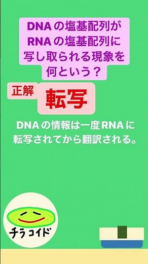 DNAの塩基配列がRNAの塩基配列に写し取られる現象を何という？ #shorts #受験 #大学 #大学受験 #生物