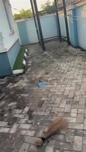 Essential House Maintenance Tips for Tenants